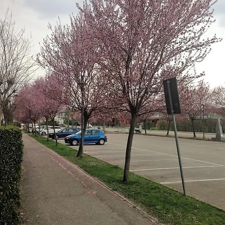 Belsito